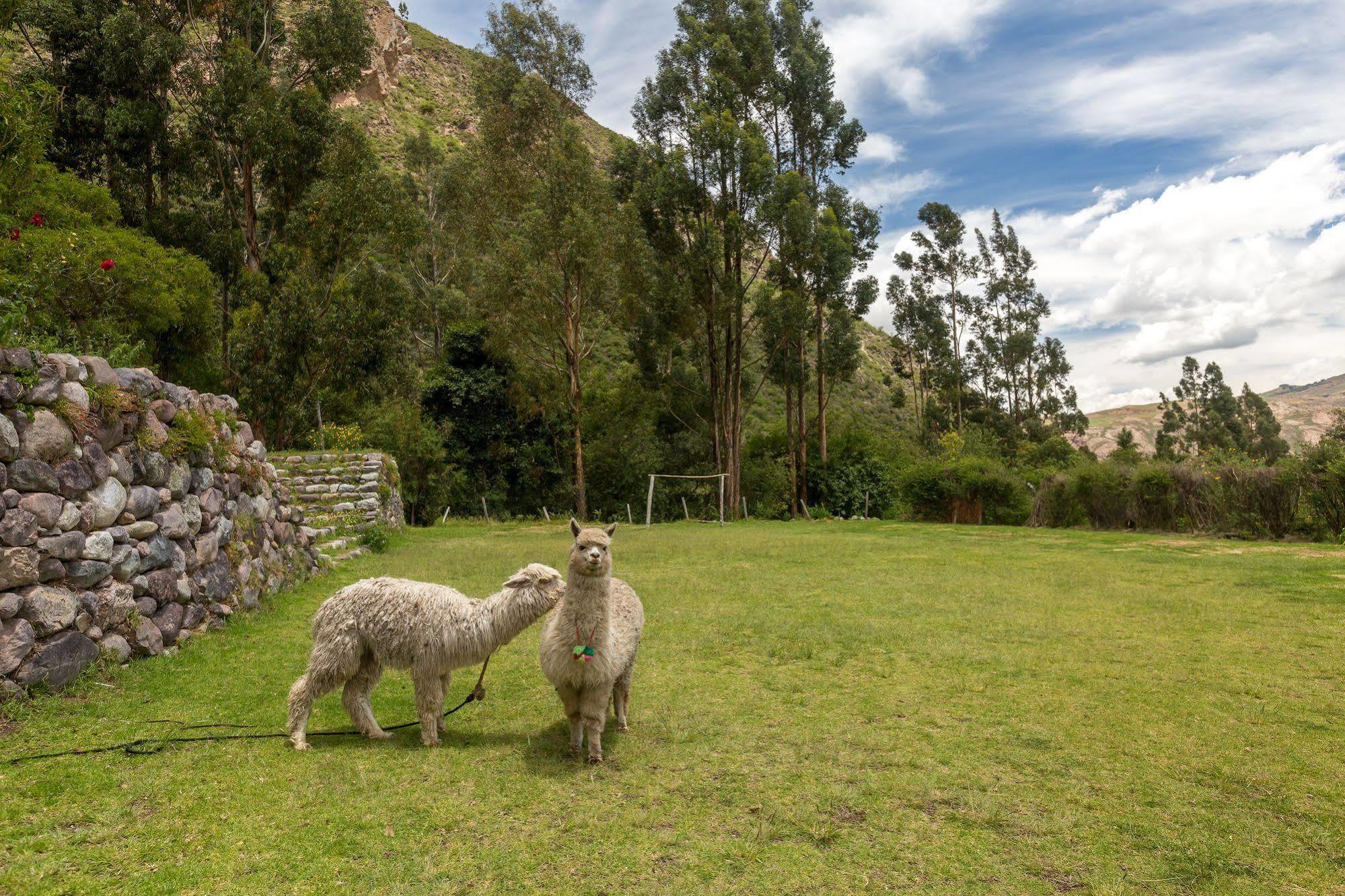 Hotel Hacienda Del Valle ウルバンバ エクステリア 写真